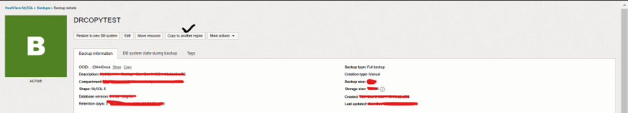Imagem mostrando detalhes completos do backup manual