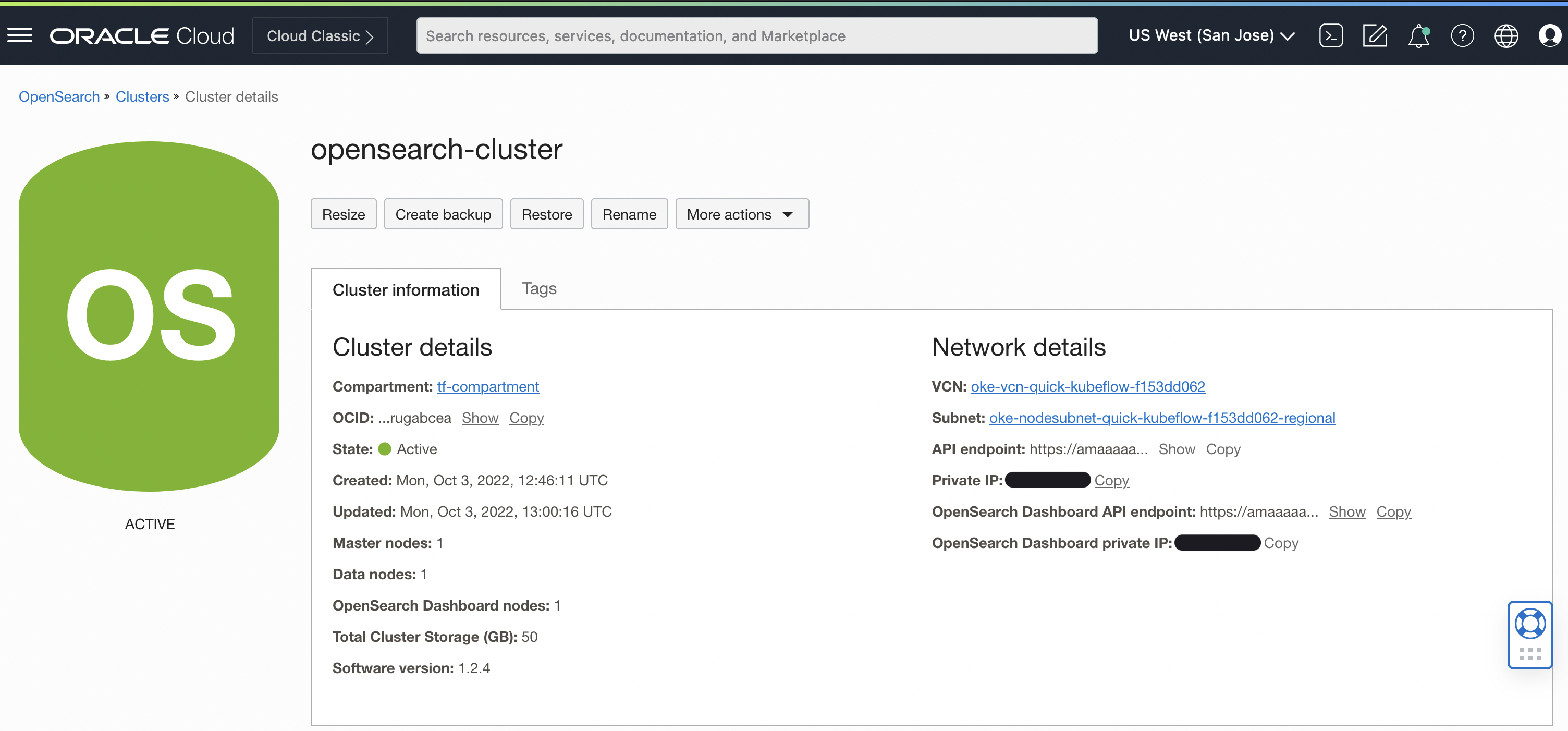 Cluster OpenSearch