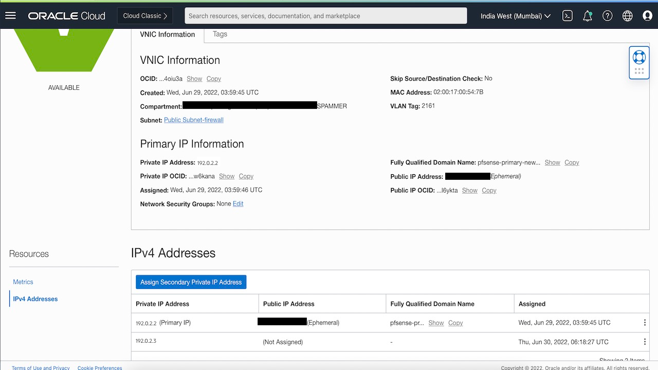 Vnic - adicionar novo ip