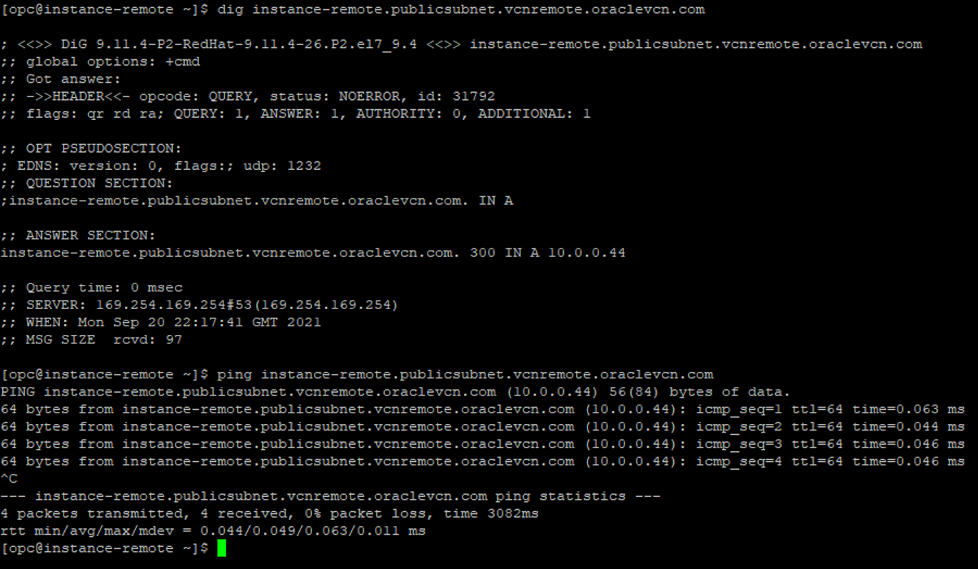 Teste de DNS local do OCI