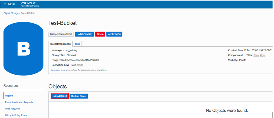 Botão Fazer Upload do Objeto