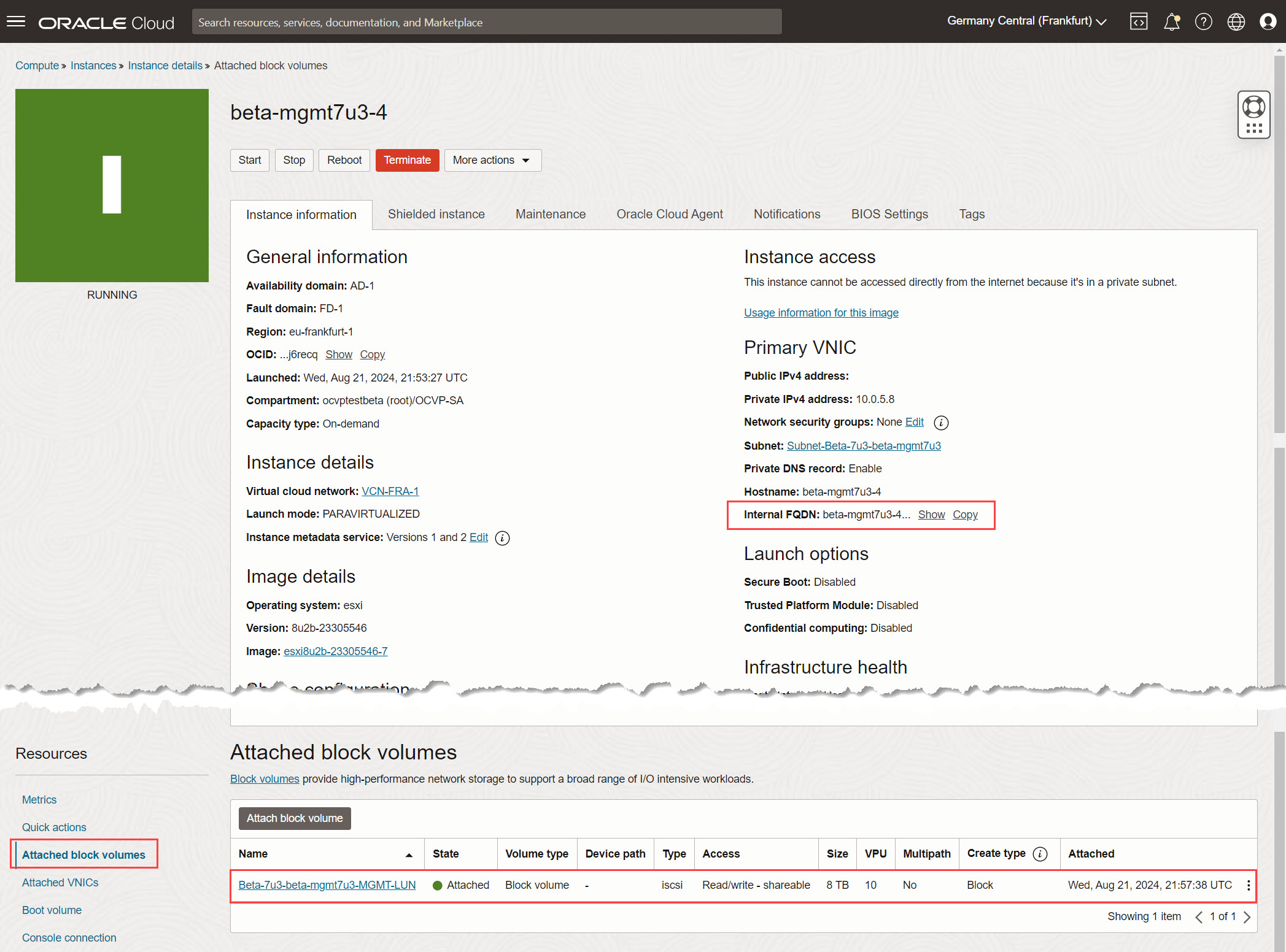 Capturar Novo Host - Detalhes da Instância