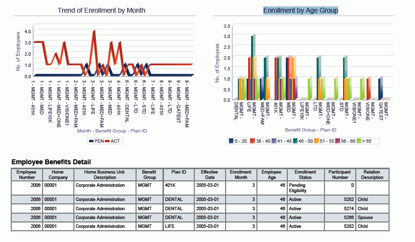 雇员福利分析报告。