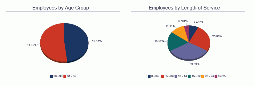 雇员概要分析。