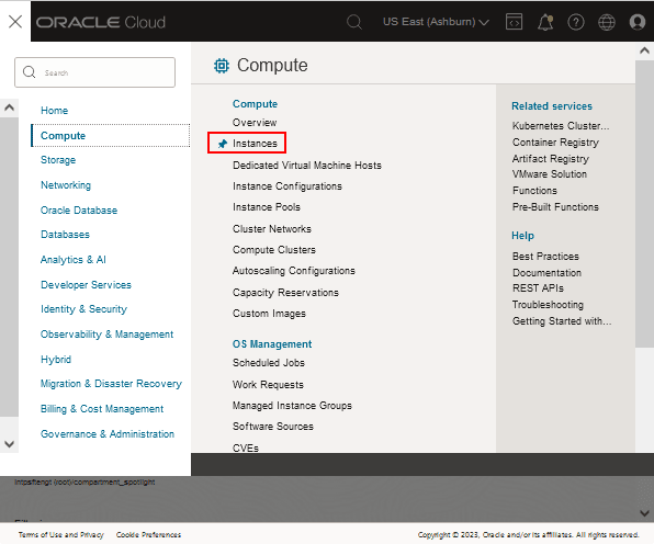 Oracle Cloud Infrastructure 菜单、计算、实例
