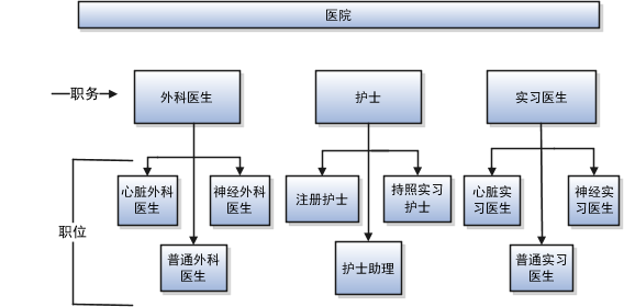 此图说明医疗保健行业的职位设置，以及不同职位的外科医生、护士和实习生。
