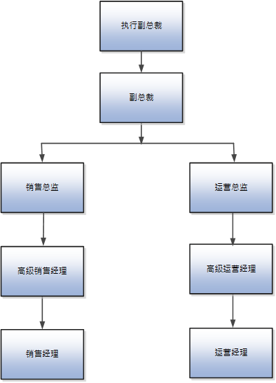 该图展示了 Vision Corporation 的职位层次结构。