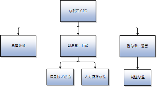 该图说明了公司内职位的层次结构。在职位层次结构中，总监向副总裁报告工作，而总审计师和副总裁向公司总裁和 CEO 报告工作。