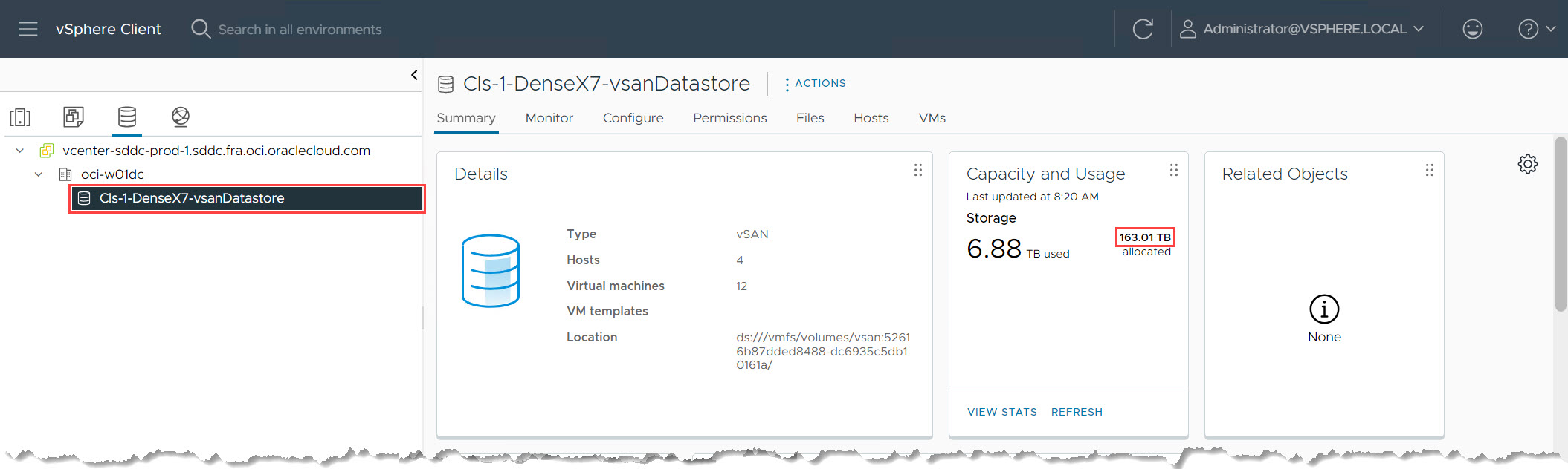 验证 vSAN 数据存储容量