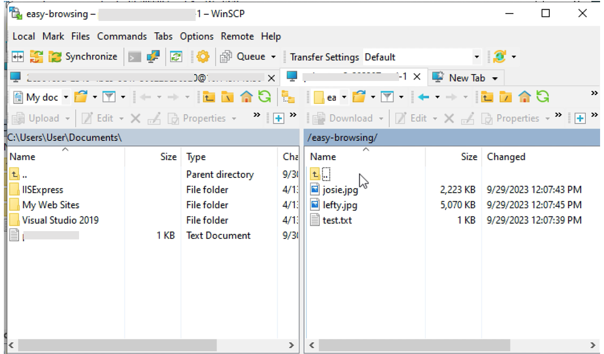 对象通过 WinSCP 作为文件提供 图像 7