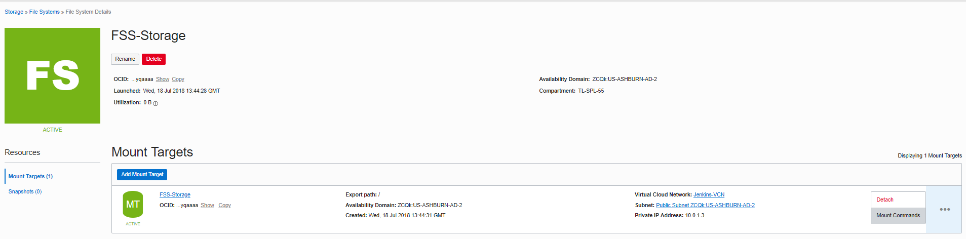 “文件系统详细信息”页
