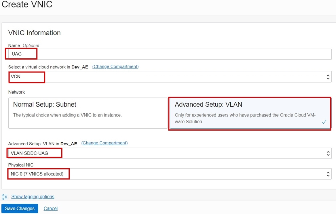 创建带有 VLAN 的 vNIC