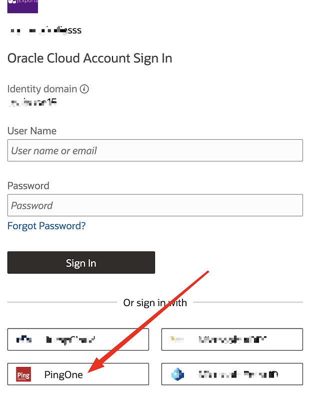 OCI IAM 登录页面
