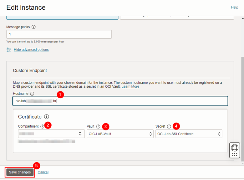 输入定制端点名称并保存更改