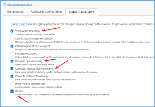 Oracle Cloud Agent 插件设置