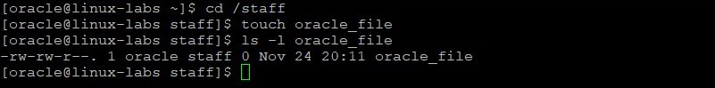 oracle 文件