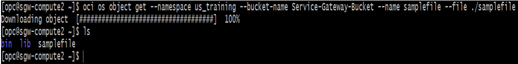 OCI OS 对象获取命令