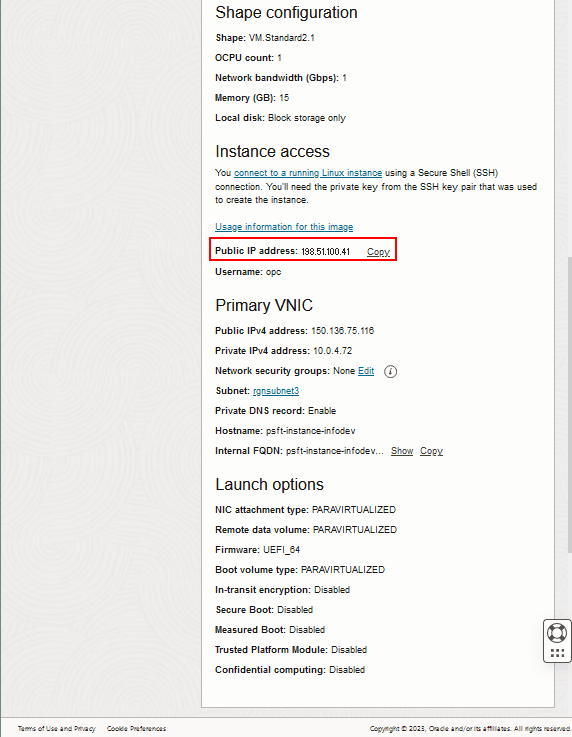 「實例詳細資料」頁面