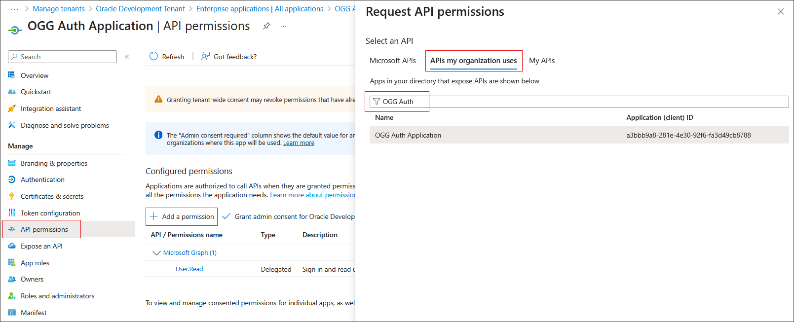 要求應用程式的 API 權限