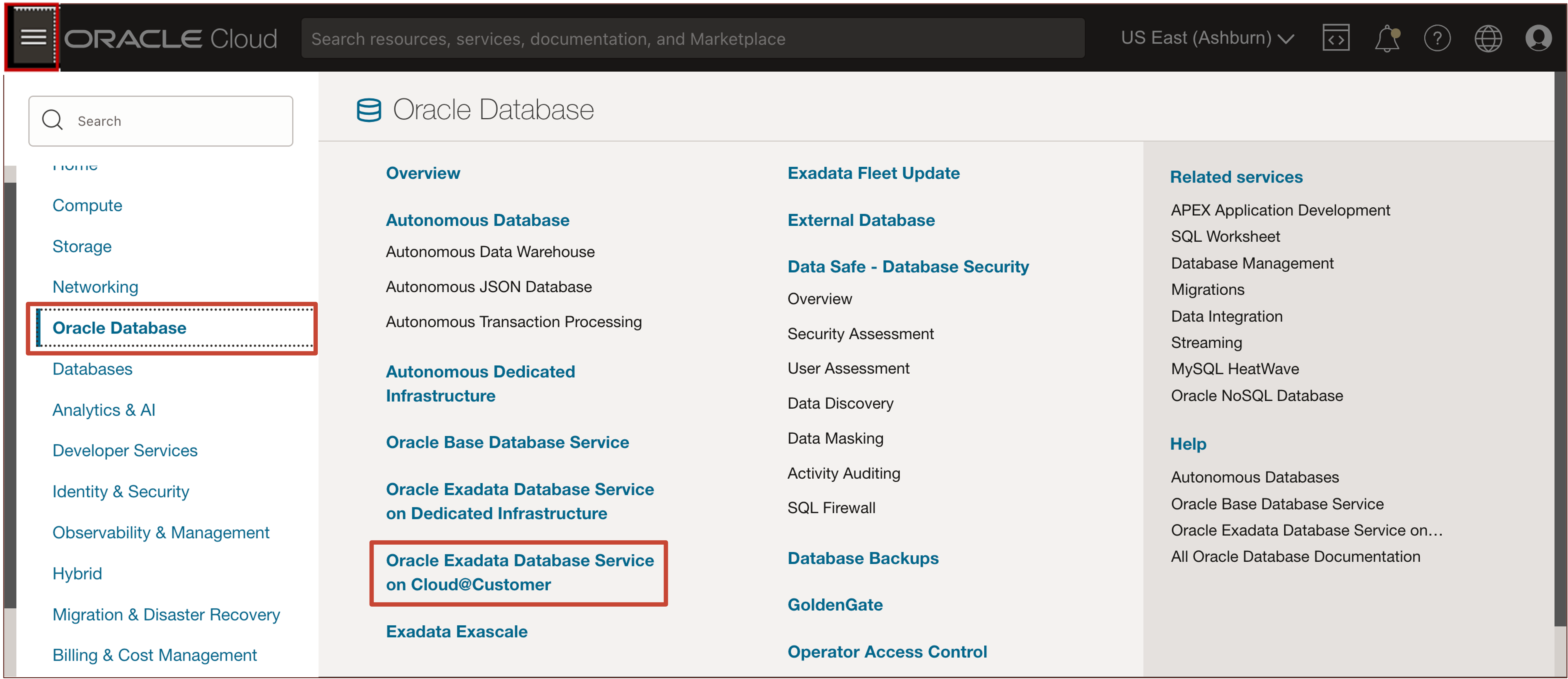 在單一 VM 上為 Cloud@CustomerOracle Exadata Database Service on Cloud ...