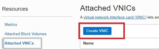 建立 vNIC