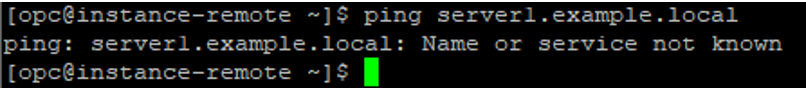 OCI 本機 DNS 測試