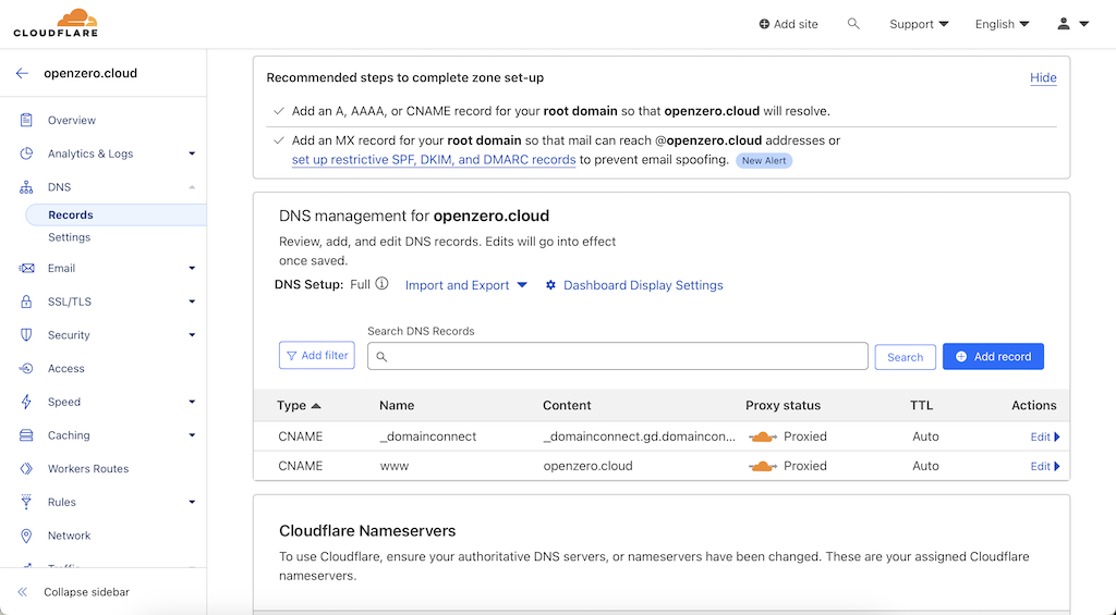 Dns/ 記錄頁面
