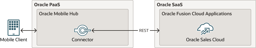 access-rest-mobile-hub.png 的描述如下